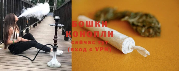 mix Белокуриха
