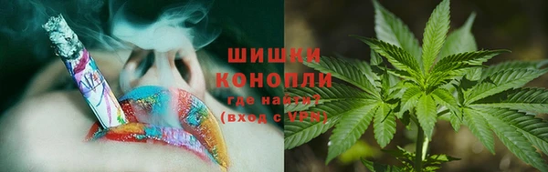 сатива Балабаново