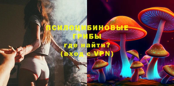 прущие крисы Беломорск