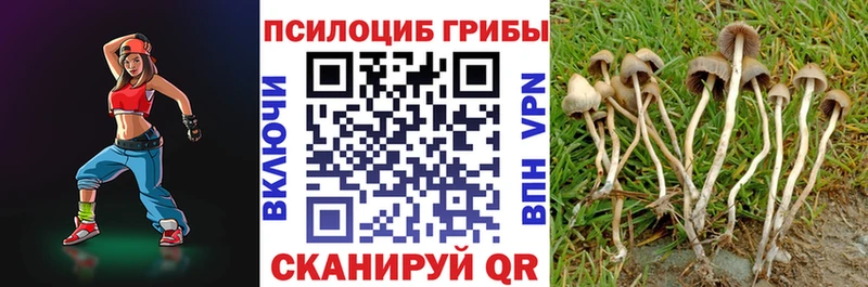 цены   Нестеровская  Псилоцибиновые грибы мухоморы 
